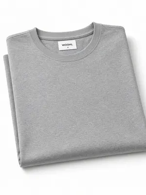 WOOHL Men Round Neck T-Shirts